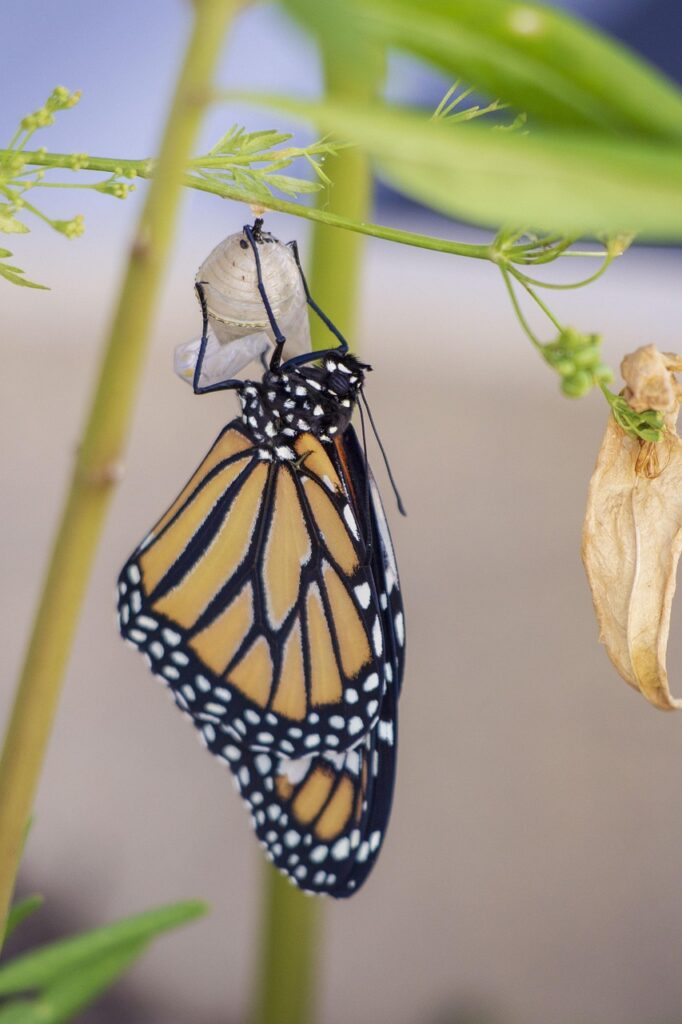 Transformation Behind Bars